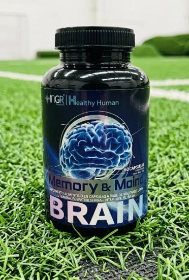 Brain Memory