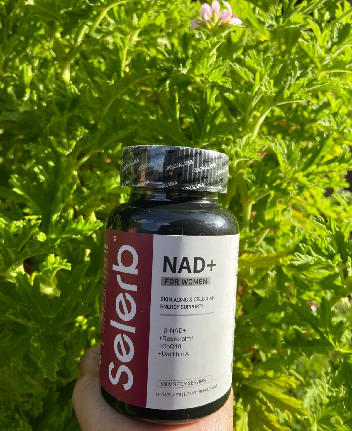 NAD+